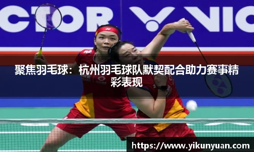 聚焦羽毛球：杭州羽毛球队默契配合助力赛事精彩表现