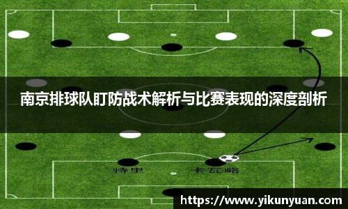 南京排球队盯防战术解析与比赛表现的深度剖析